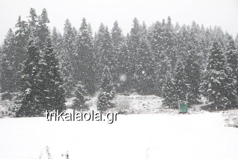 Το έστρωσε για τα καλά στα Τρίκαλα -Ντυμένα στα λευκά [εικόνες] | iefimerida.gr 6