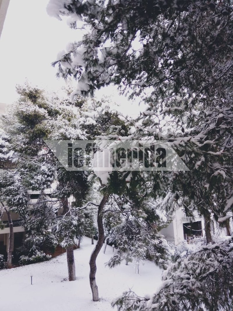 Χιονισμένες αυλές και κατάλευκα σπίτια στην Αγία Παρασκευή