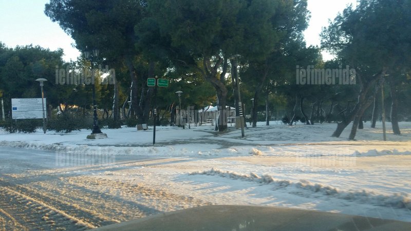 Το χιόνι στην Αττική έφερε προβλήματα -Παγοδρόμιο η Κηφισίας [εικόνες] | iefimerida.gr 18