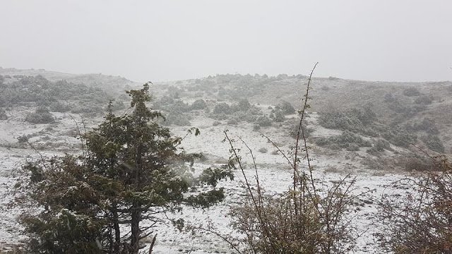 Για όσους σκοπεύουν να επισκεφτούν σύντομα τα πανέμορφα βουνά της Ηπείρου, τότε πρέπει να γνωρίζουν πως το πρώτο χιόνι... έπεσε.