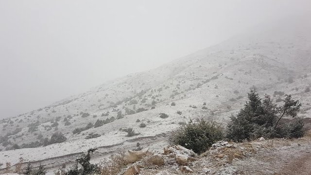 Σύμφωνα με το ρεπορτάζ, το χιόνι δεν «χτύπησε» μόνο αυτά τα χωριά στον νομό Ιωαννίνων, καθώς χιόνι πέφτει και σε άλλες περιοχές με μεγάλο υψόμετρο.