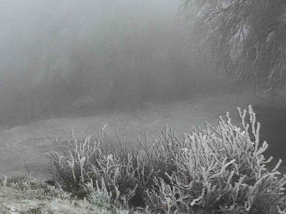 Τα πρώτα χιόνια στο Πήλιο [εικόνες] | iefimerida.gr 1