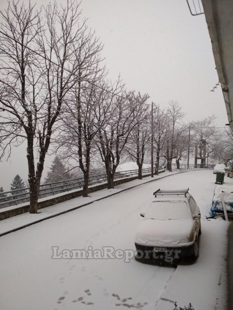 Στα λευκά οι νομοί Ευρυτανίας και Φθιώτιδας -Χιονίζει ασταμάτητα [εικόνες] | iefimerida.gr 2