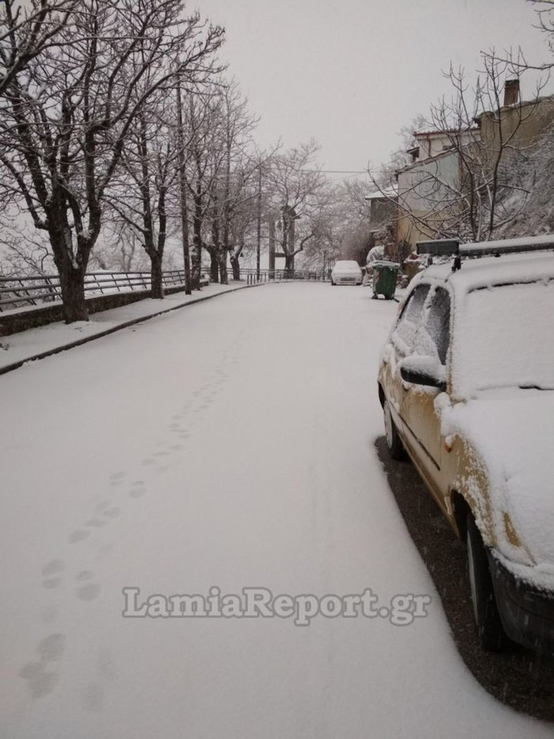Στα λευκά οι νομοί Ευρυτανίας και Φθιώτιδας -Χιονίζει ασταμάτητα [εικόνες] | iefimerida.gr 4