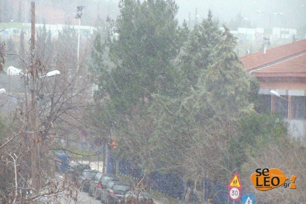 Στα λευκά η Θεσσαλονίκη -Χιονίζει στο κέντρο της πόλης [εικόνες & βίντεο] | iefimerida.gr 1