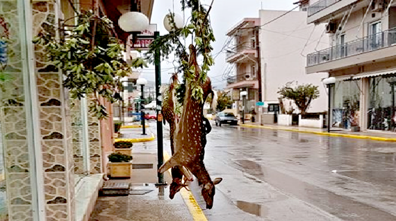Σάλος για τη φωτογραφία από κρεοπωλείο με δύο κρεμασμένα ελάφια – Τι απαντά ο ιδιοκτήτης | iefimerida.gr 0