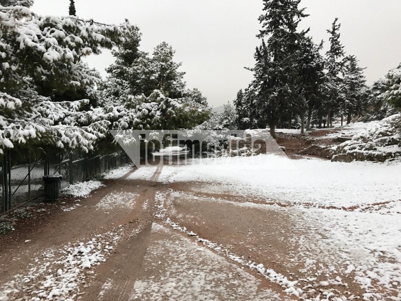 Μοναδικές εικόνες: Η χιονισμένη Ακρόπολη, η κατάλευκη Διονυσίου Αρεοπαγίτου [εικόνες] | iefimerida.gr 14