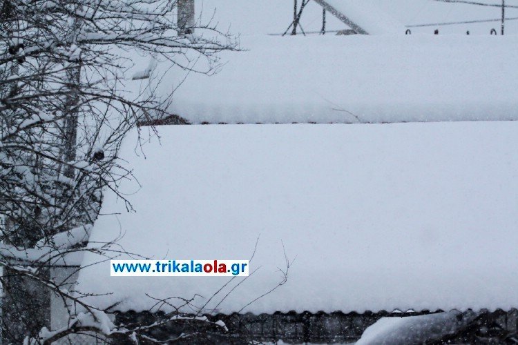 Πυκνή χιονόπτωση στα Τρίκαλα -30 πόντοι το χιόνι στην πόλη [εικόνες & βίντεο] | iefimerida.gr 0