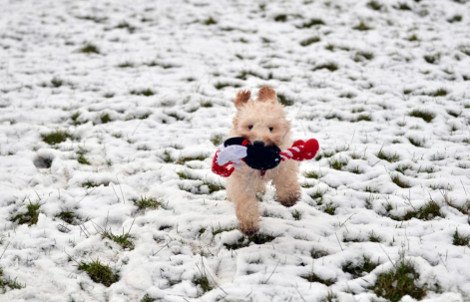 Ο χιονιάς σαρώνει τη Βρετανία και οι τρελο-Βρετανοί κάνουν... ηλιοθεραπεία [εικόνες] | iefimerida.gr 2