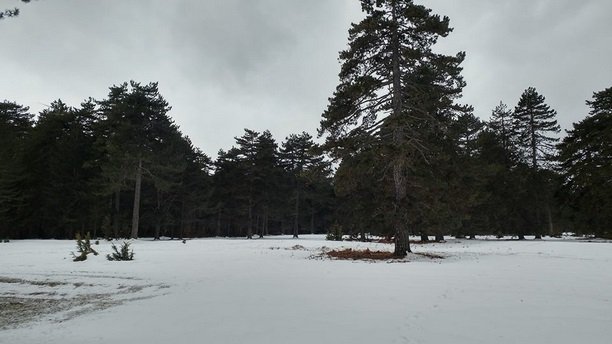 Κακοκαιρία «Χιόνη»: Εντονη χιονόπτωση σε Φθιώτιδα, Πήλιο και Βέροια [εικόνες] | iefimerida.gr 4