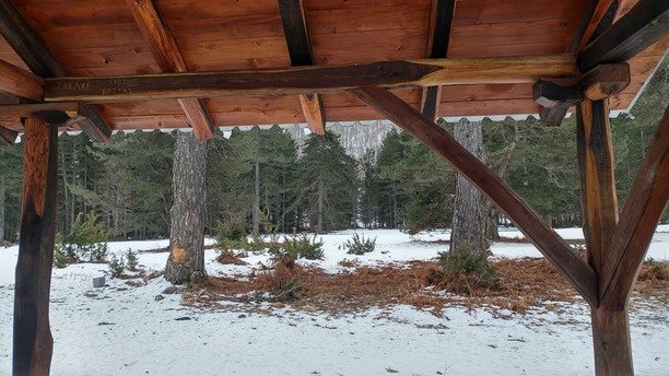 Κακοκαιρία «Χιόνη»: Εντονη χιονόπτωση σε Φθιώτιδα, Πήλιο και Βέροια [εικόνες] | iefimerida.gr 6