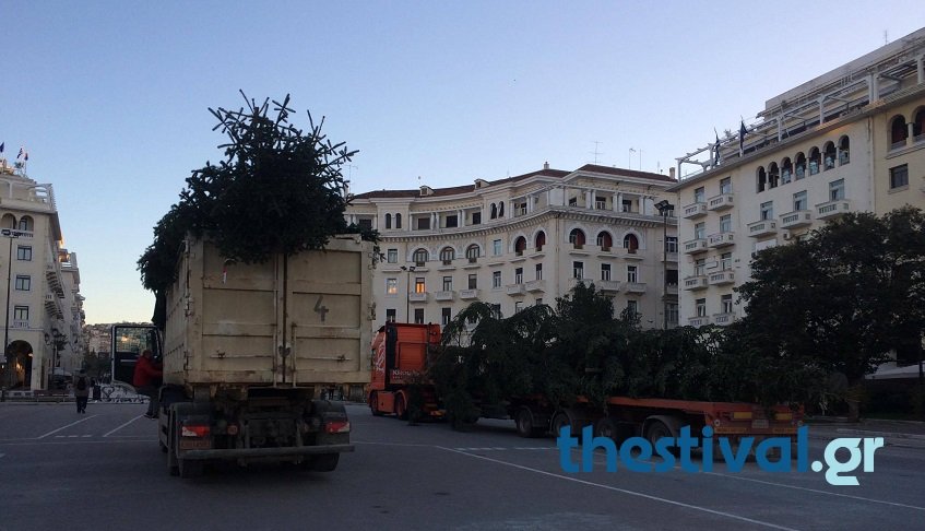 Στήθηκε το χριστουγεννιάτικο δέντρο στην Αριστοτέλους -Φυσικό έλατο από τον Ταξιάρχη [εικόνες & βίντεο]   | iefimerida.gr 0