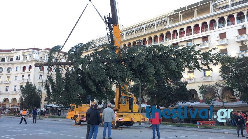 Στήθηκε το χριστουγεννιάτικο δέντρο στην Αριστοτέλους -Φυσικό έλατο από τον Ταξιάρχη [εικόνες & βίντεο]   | iefimerida.gr 1