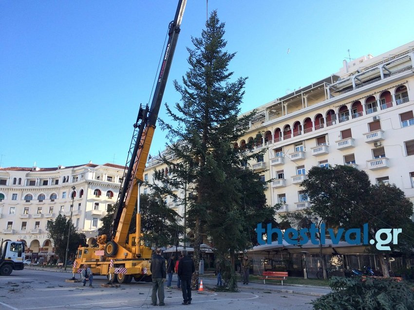 Στήθηκε το χριστουγεννιάτικο δέντρο στην Αριστοτέλους -Φυσικό έλατο από τον Ταξιάρχη [εικόνες & βίντεο]   | iefimerida.gr 2