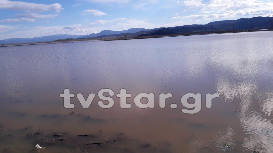 Αγρότες σε απόγνωση: «Πνίγηκαν» χιλιάδες στρέμματα στην Ξυνιάδα Δομοκού [εικόνες] | iefimerida.gr 5