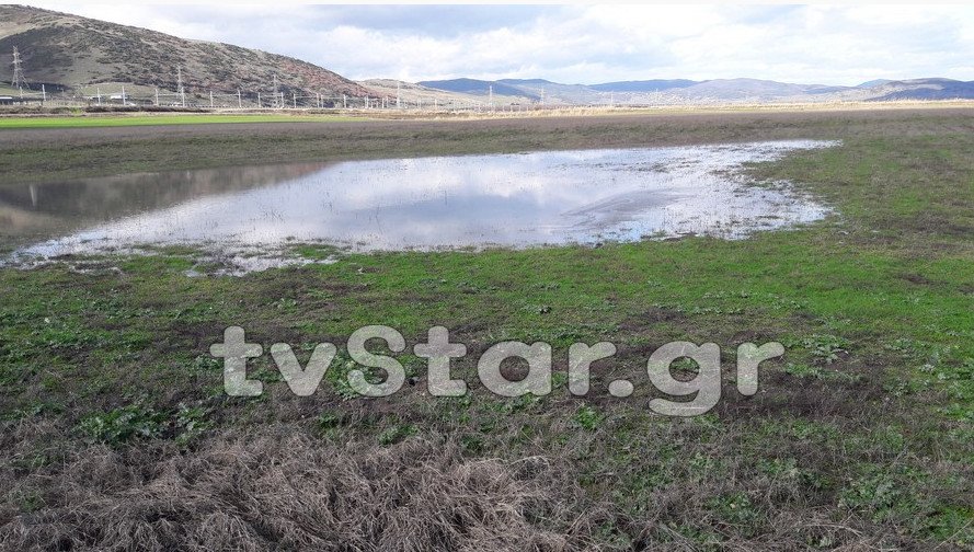 Αγρότες σε απόγνωση: «Πνίγηκαν» χιλιάδες στρέμματα στην Ξυνιάδα Δομοκού [εικόνες] | iefimerida.gr 3
