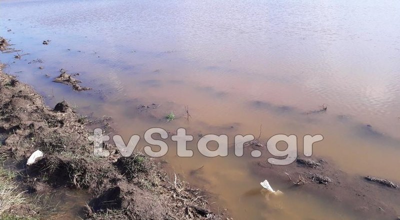 Αγρότες σε απόγνωση: «Πνίγηκαν» χιλιάδες στρέμματα στην Ξυνιάδα Δομοκού [εικόνες] | iefimerida.gr 2