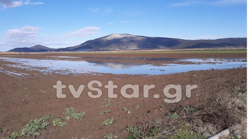 Αγρότες σε απόγνωση: «Πνίγηκαν» χιλιάδες στρέμματα στην Ξυνιάδα Δομοκού [εικόνες] | iefimerida.gr 1