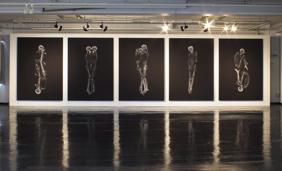 Εξερευνώντας το... βάθος μιας σχέσης – Ακτινογραφίες ζευγαριών σε προσωπικές στιγμές στενών επαφών [εικόνες] | iefimerida.gr 2