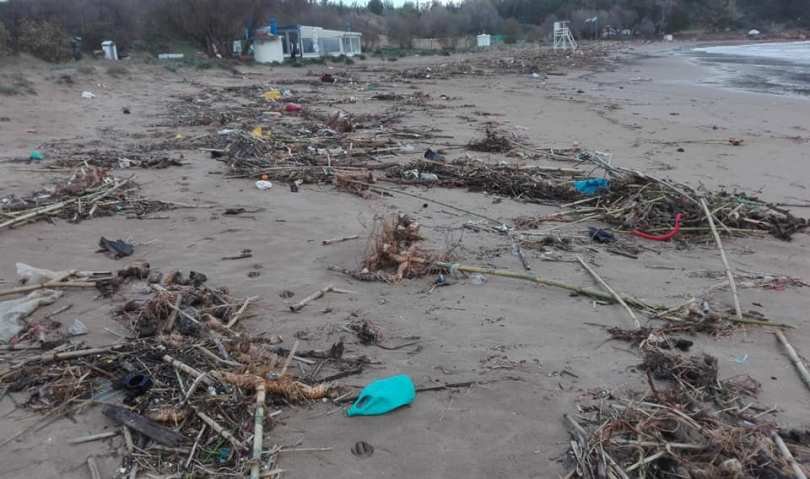 Χανιά: Ψάρια βγήκαν στην στεριά λόγω της κακοκαιρίας «Χιόνη» [εικόνες] | iefimerida.gr 1