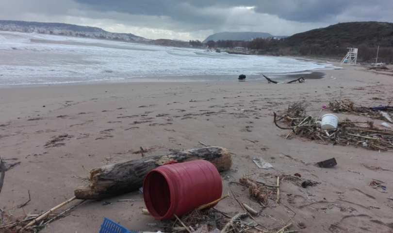 Χανιά: Ψάρια βγήκαν στην στεριά λόγω της κακοκαιρίας «Χιόνη» [εικόνες] | iefimerida.gr 2