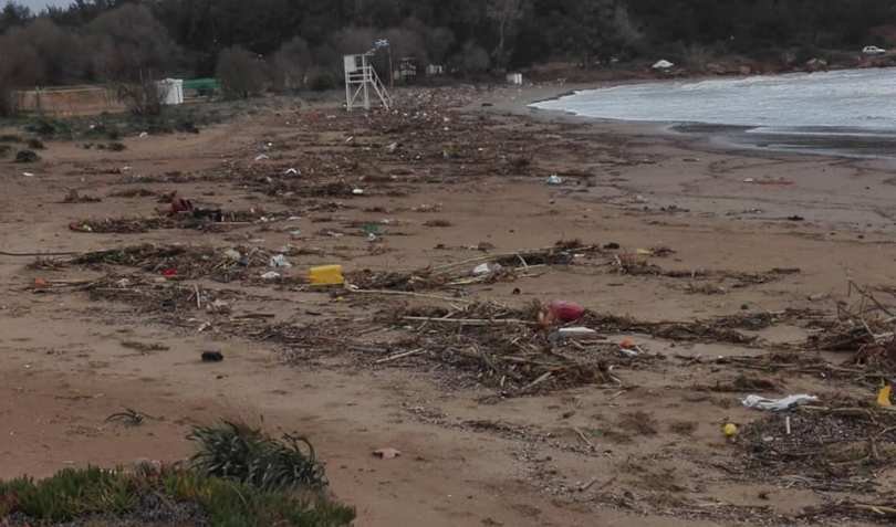 Χανιά: Ψάρια βγήκαν στην στεριά λόγω της κακοκαιρίας «Χιόνη» [εικόνες] | iefimerida.gr 4