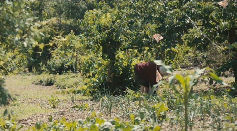 Το χωριό των δύο κατοίκων: Ζευγάρι μένει μόνο του 45 χρόνια [εικόνες] | iefimerida.gr 3
