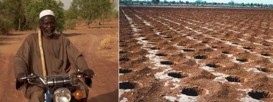 Πώς αυτός ο άνθρωπος κατάφερε να καλλιεργήσει την «έρημο» βάζοντας τα γυαλιά σε όσους τον θεωρούσαν τρελό [εικόνες&βίντεο]  | iefimerida.gr 1