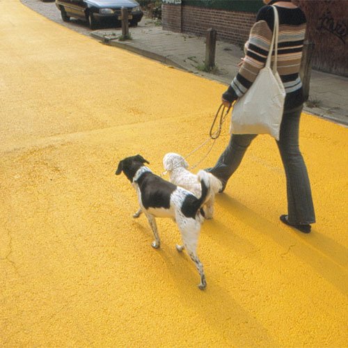 Ο πιο ξεχωριστός και φωτεινός δρόμος είναι στην Ολλανδία [εικόνες] | iefimerida.gr 3