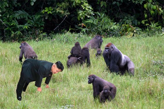Διαδικτυακό ρεζίλι και πάλι ο Κιμ Γιονγκ Ουν: Η φωτογραφία με το στρώμα που έγινε viral [εικόνες] | iefimerida.gr 13