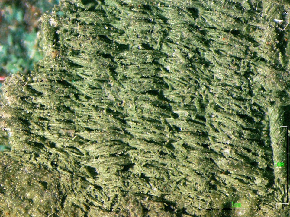 Κι όμως οι αρχαίοι Ελληνες έμαθαν τους Ιταλούς πώς να ντύνονται [εικόνα] | iefimerida.gr 0