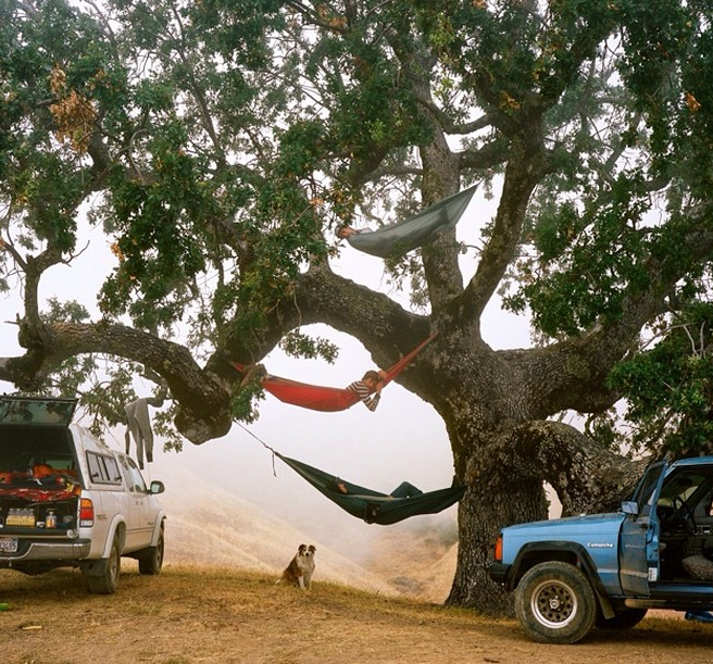 Ο γοητευτικός Αμερικάνος που παράτησε την καριέρα του και δημιούργησε ένα πρωτόγνωρο κίνημα νέων, ρομαντικών νομάδων στις ΗΠΑ [εικόνες] | iefimerida.gr 2