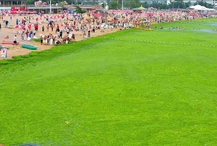 Η πιο αηδιαστική παραλία του κόσμου βρίσκεται στην Κίνα [εικόνες] | iefimerida.gr 5