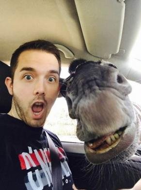 Εκπληκτική στιγμή: H... selfie της ζέβρας που έγινε viral [εικόνες] | iefimerida.gr 1