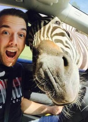 Εκπληκτική στιγμή: H... selfie της ζέβρας που έγινε viral [εικόνες] | iefimerida.gr 0