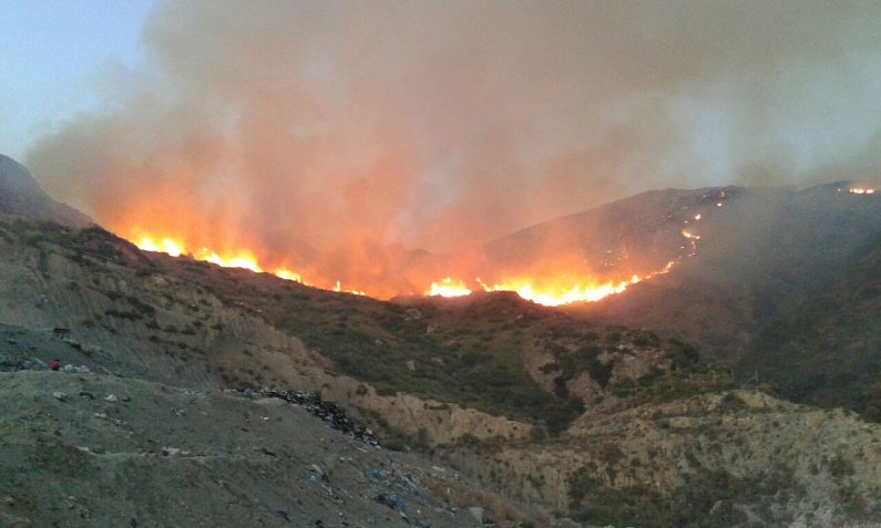 Πυρκαγιά στον Σκοπό Ζακύνθου -Μάχη με τις φλόγες όλο το βράδυ [εικόνα]  | iefimerida.gr 1