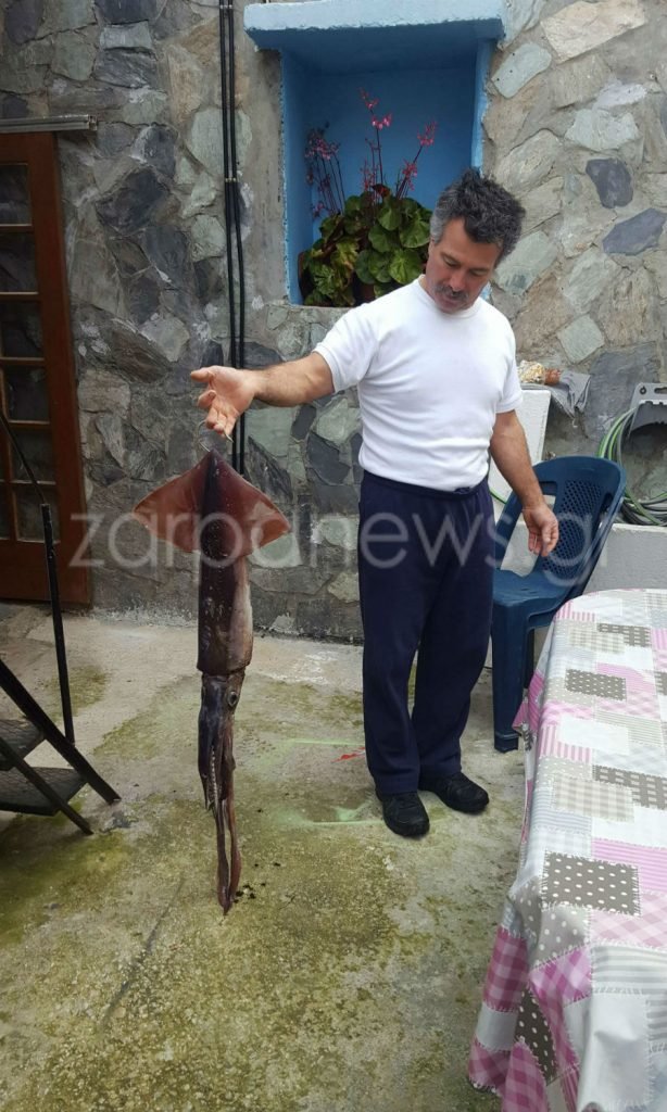 Το κύμα ξέβρασε τεράστιο καλαμάρι στην Ζάκυνθο- Εικόνες που θα ζήλευε ο κάθε ψαράς [εικόνες] | iefimerida.gr 3