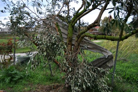 Στο έλεος της κακοκαιρίας η χώρα: Καταιγίδες, χιόνια και πολλά προβλήματα [εικόνες] | iefimerida.gr 12