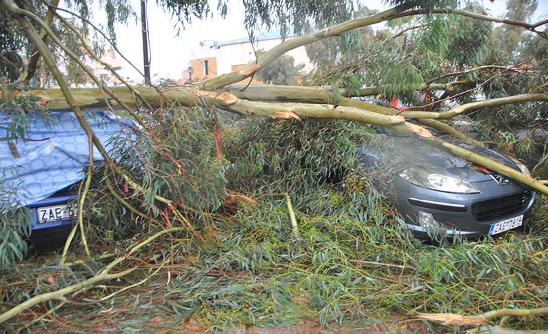 Βιβλική καταστροφή στη Ζάκυνθο από τη θεομηνία -Χωρίς ρεύμα το μισό νησί [εικόνες] | iefimerida.gr 1