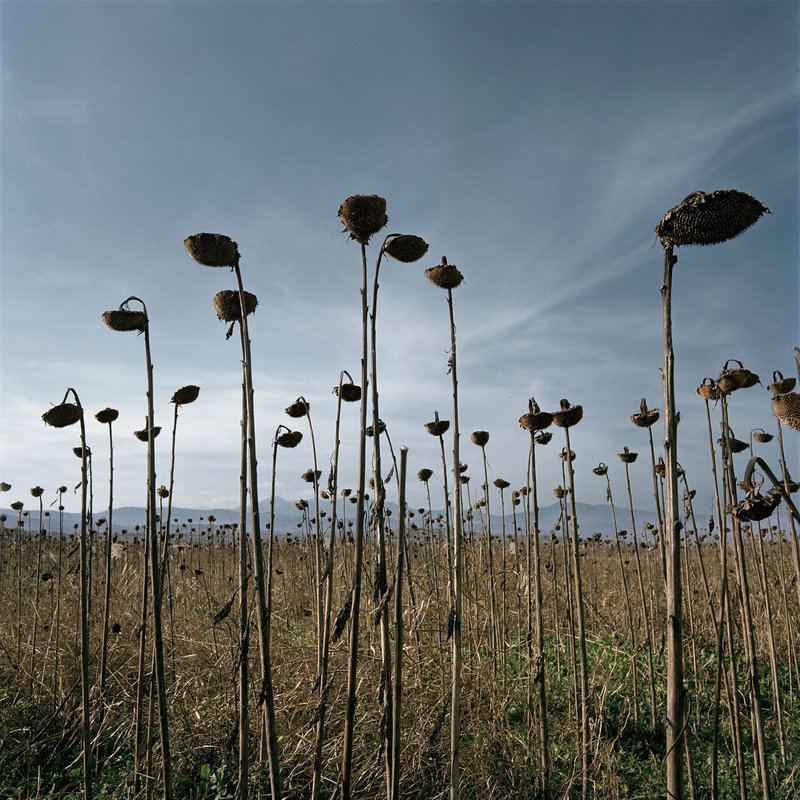 CAESURA στο Μπενάκη: Η σιωπηλή παύση στο ταξίδι των προσφύγων προς την Ελλάδα [εικόνες]  | iefimerida.gr 5