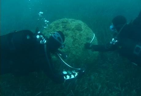 Ο σεισμός που προβλημάτισε την Πάτρα -Ηταν δονήσεις από την εξουδετέρωση νάρκης; [εικόνες] | iefimerida.gr 0