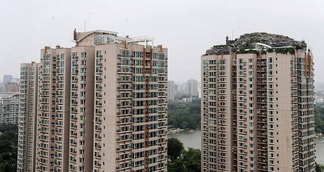 Ενα απίστευτο ησυχαστήριο: Εφτιαξε... βουνό στο ρετιρέ της πολυκατοικίας του [εικόνες] | iefimerida.gr 3