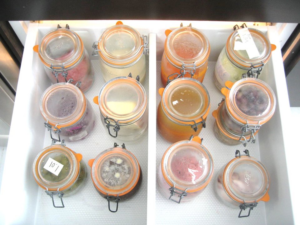 Μηδέν σκουπίδια στο σπίτι -Μια παγκόσμια τάση που αλλάζει τη ζωή [εικόνες] | iefimerida.gr 20