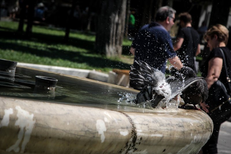 Καθηγήτρια ΕΚΠΑ: Η Ελλάδα επηρεάζεται πολύ περισσότερο από όσο της αναλογεί από την κλιματική αλλαγή | iefimerida.gr 4
