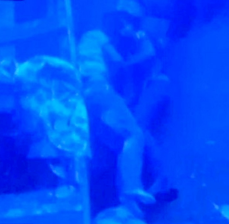 Σπαρακτική υποβρύχια εικόνα -Νεκρό ζευγάρι μεταναστών αγκαλιασμένο μέσα στο βυθισμένο σκάφος [εικόνα] | iefimerida.gr 0