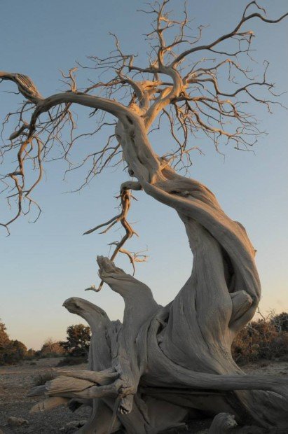 Ενα ζευγάρι που το λένε ευτυχία -Οι δυο ερωτευμένοι που «μετανάστευσαν» στη Γαύδο και βρήκαν το νόημα της ζωής  [εικόνες] | iefimerida.gr 2