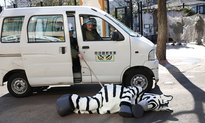 Ζέβρα το έσκασε από το κλουβί της σε ζωολογικό κήπο -Μόνο που ήταν... άνθρωπος [εικόνες] | iefimerida.gr 4