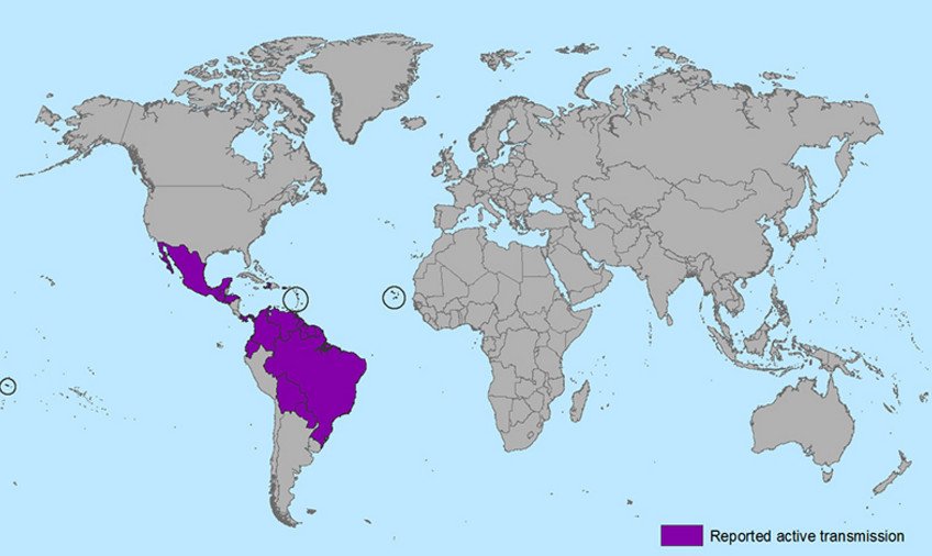 Οι 22 χώρες που έχουν εκδηλωθεί κρούσματα του ιού Ζίκα -Παγκόσμιος τρόμος [λίστα] | iefimerida.gr 0