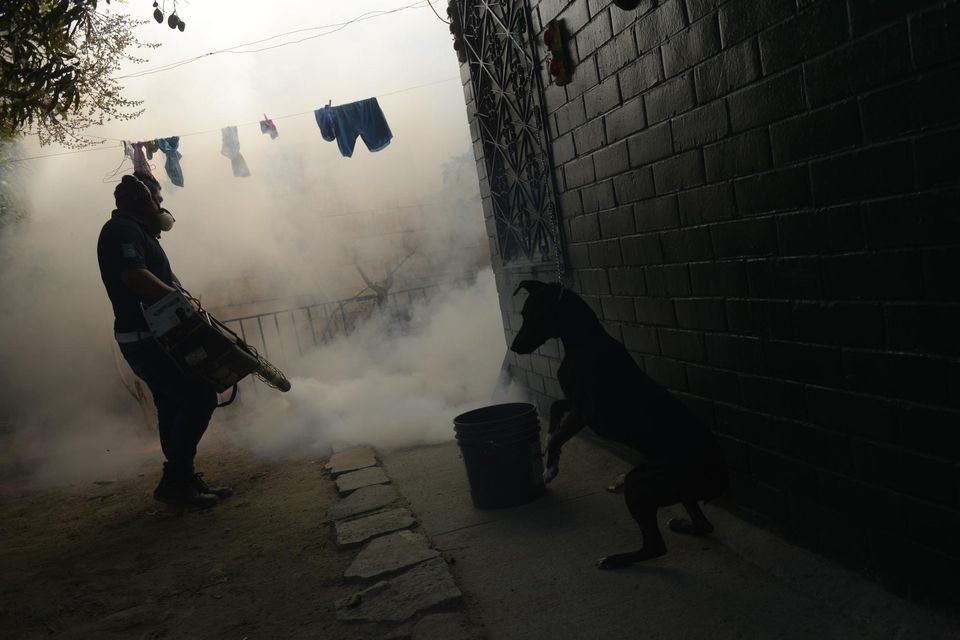 Η Αμερική αντιμέτωπη με τον ιό Ζίκα -Ο τρόμος του 2016 [εικόνες] | iefimerida.gr 1