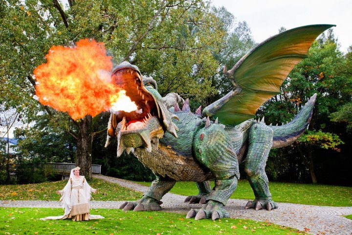 Ο Μπολτ με γόβες, ο σκύλος μινιατούρα και μία κατσίκα με σκέιτμπορντ – Η τρέλα πάει στο βιβλίο Γκίνες με τα νέα ρεκόρ [εικόνες] | iefimerida.gr 0